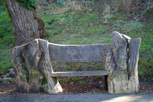 23212TGROS-Carved wooden seat, Colwyn bay