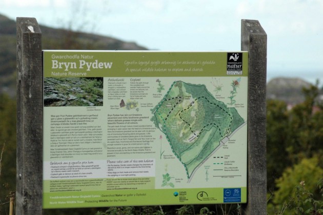151008-Bryn Pydew (63)
