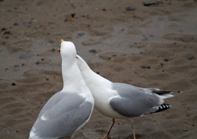 She was quite insistent but he was not sharing