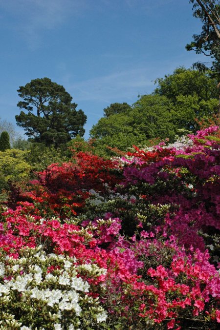 More vibrant colours contrasted with white