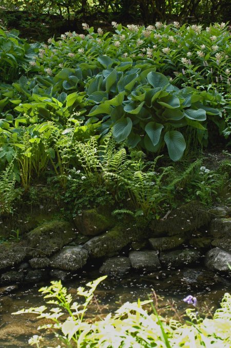 I was fascinated by crazy flies over the water
