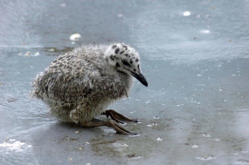 Perhaps it'll be easier sitting down