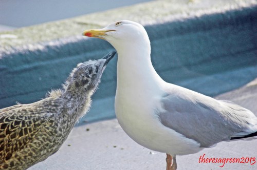 Just a bit more, please..