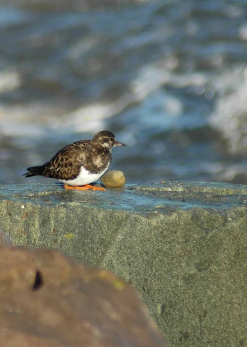 Why stand when you can sit