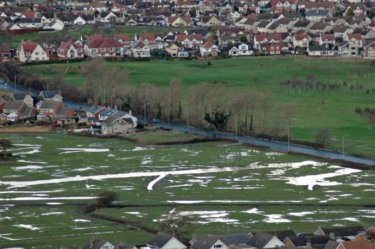 Looking down on the flooded field where curlew, oystercatchers, redshank may be seen feeding amongst sheep