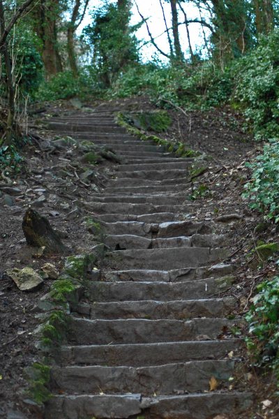 The stone steps