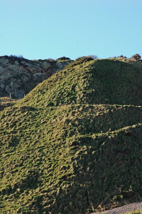 Textures and patterns on a grass-covered cliff