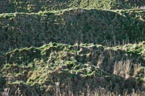 Textured grass terraces