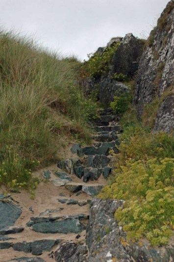 Steps cut into the rock, edged with Samphire