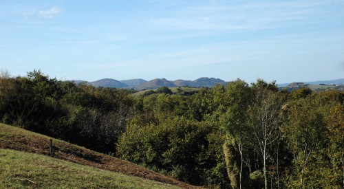 Looking down onto woodland across the hillside. Carneddau Mountains in the background