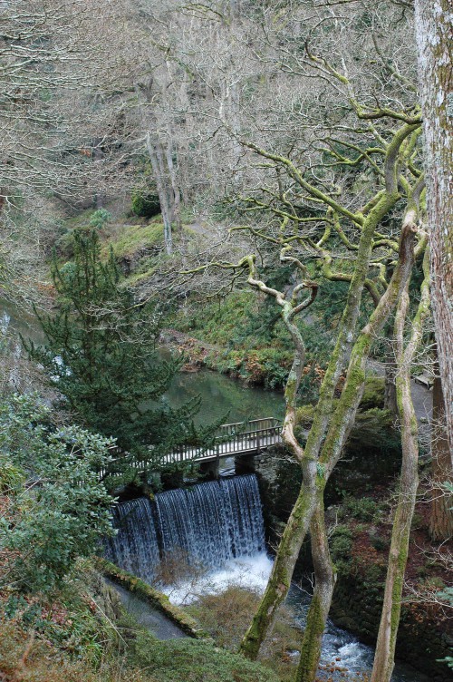 Looking down into the Dell, onto the waterfall