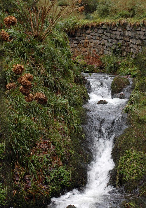 150120TG-Bodnant 12-Stream & falling water