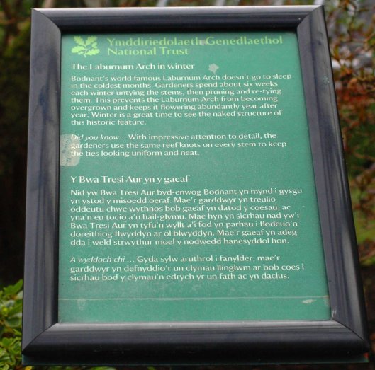 The narrative board that explains the pruning process