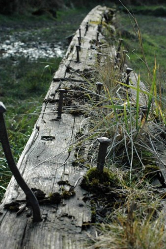 150218TGBR109-Sheerness