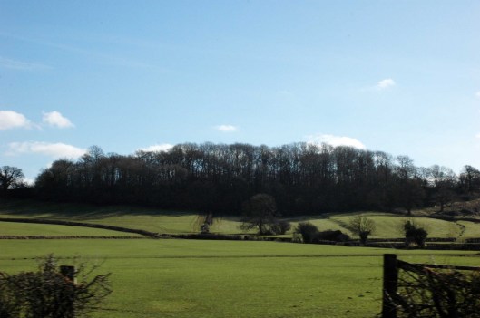 Rolling Gloucestershire countryside