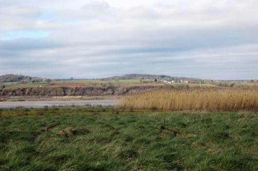 Some of the craft are almost completely buried 