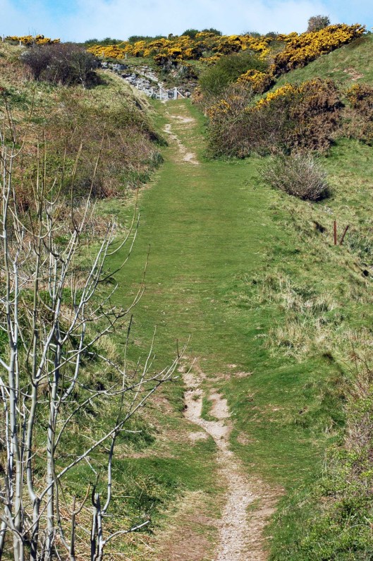 The Coast Path continues up steeply sloping 'Rabbit Hill'