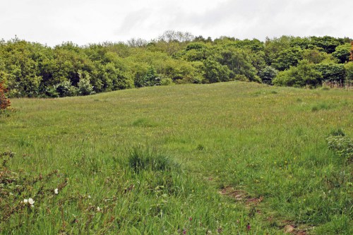 At the entrance to the Adders' Field