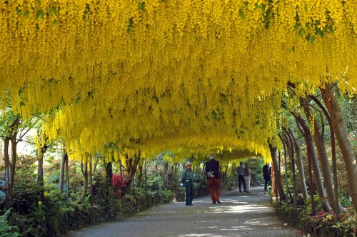Walking through sunshine