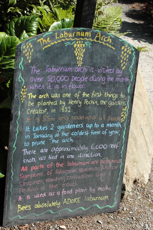 information about the laburnam aarch