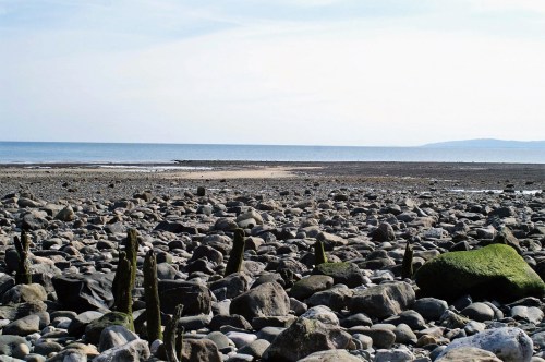 Rhos Point across the rock strewn shore to the mussel beds