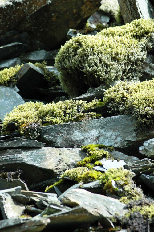 140826TGNW-Llechwedd Slate Mine (1)