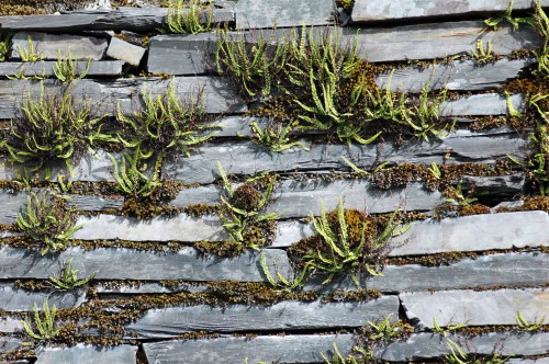 140826TGNW-Llechwedd Slate Mine (43)
