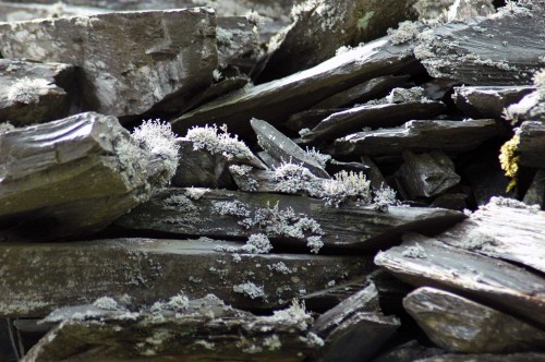 140826TGNW-Llechwedd Slate Mine (6)