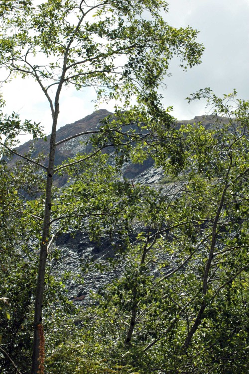 140826TGNW-Llechwedd Slate Mine (7)