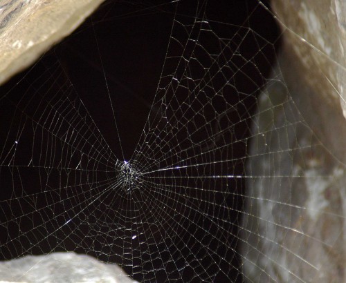 151007TGNW-13-Rocks & spider's web