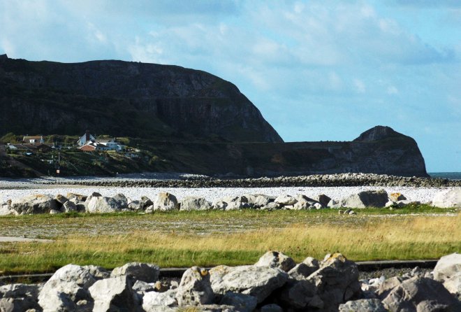 151007TGNW-Little Orme & Penrhyn Bay-grassy patch