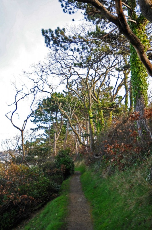 Pathway along the embankment