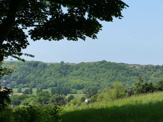 160604-BE6-View across field