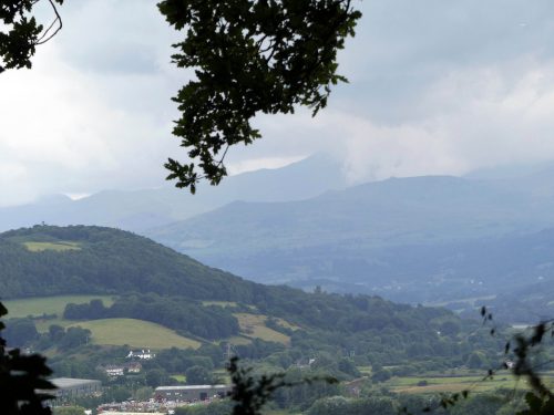 160805-Bryn Euryn (7)