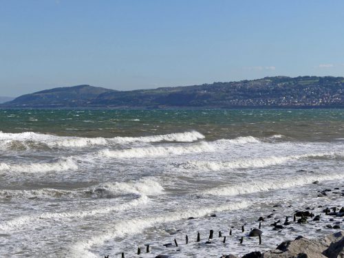 161005-1350-rhos-point-blk-hded-gull-over-stormy-sea