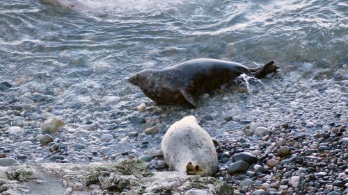 170120-lo-59-more-interaction-2a