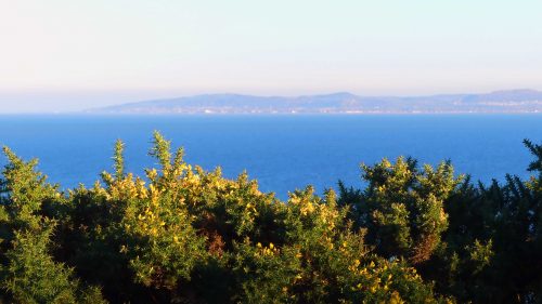 170120-lo-82-1544-gorse-view-1a